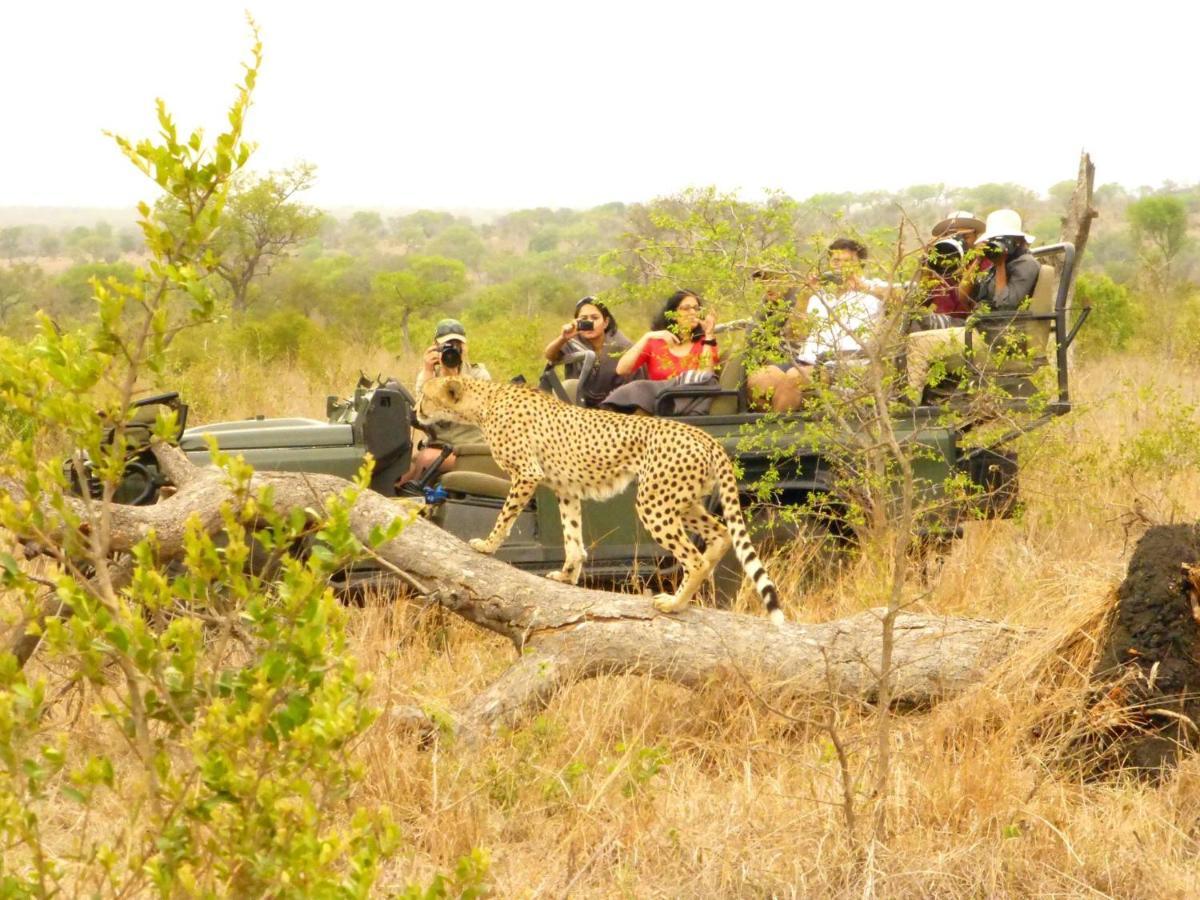 Umkumbe Safari Lodge Riverside Skukuza Exteriör bild