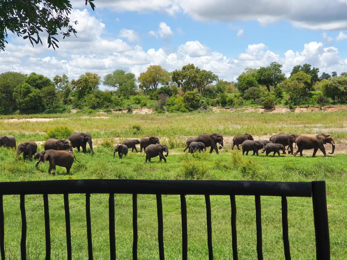 Umkumbe Safari Lodge Riverside Skukuza Exteriör bild